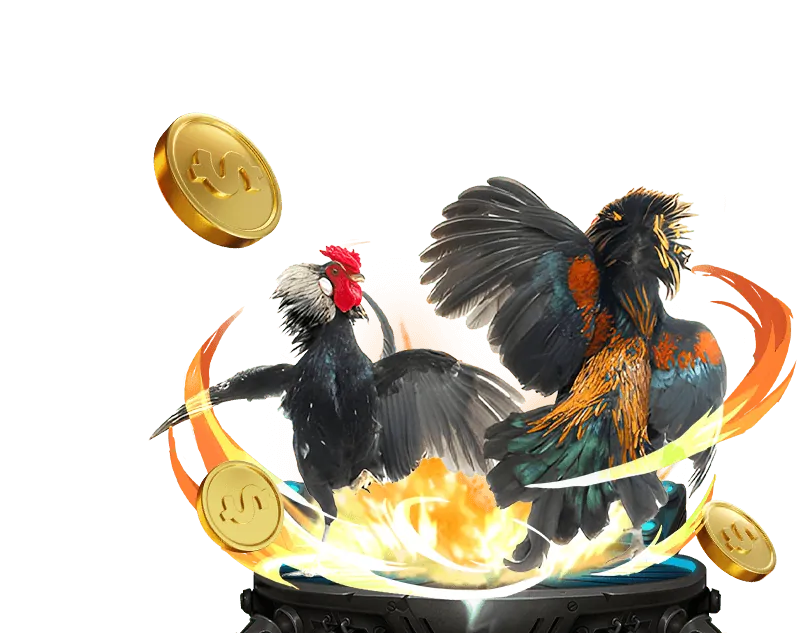 Chương Trình VIP 55WIN